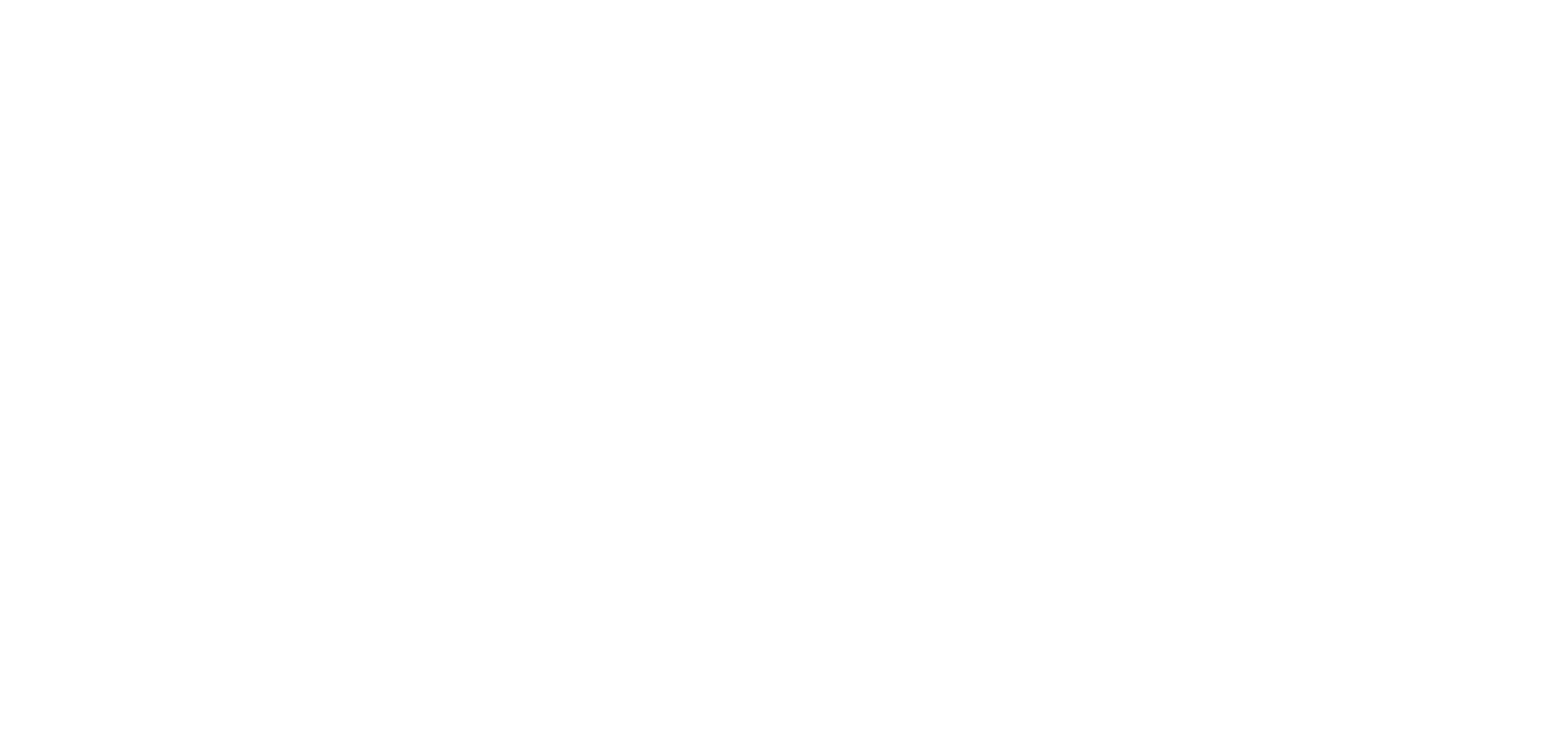 logo light